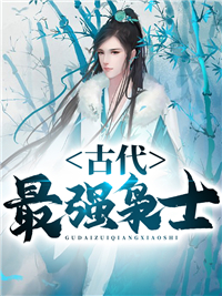 《林云无月》小说