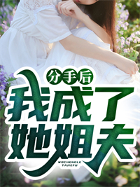 《分手后，我成了她姐夫》江辰陆倩倩陆晓柔江爸