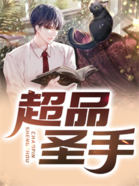 《陈凡蒋琬王雨晴》小说