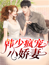 《韩少疯宠小娇妻》陈沐西叶流莎林桃唐端