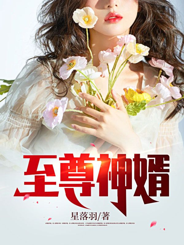 《至尊神婿》叶峰赵家杨秀华赵梦