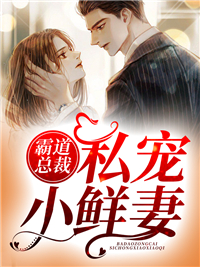 《霸道总裁私宠小鲜妻》苏甜甜陈大海傅景霆