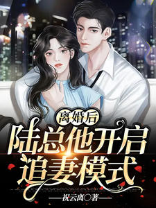 《离婚后，陆总他开启追妻模式》陆栖迟叶蓁叶桃夭沈璃