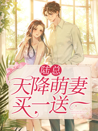 《陆总，天降萌妻买一送一》安琪林婉书陆珺彦弟弟