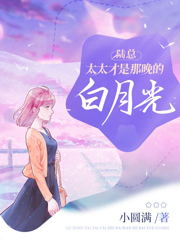 《陆总，太太才是那晚的白月光》叶佳禾陆景墨叶朝明叶宝珠