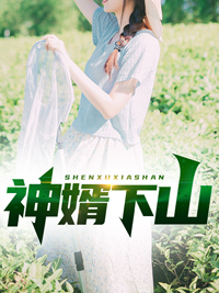 《神婿下山》叶凌风黄雪依大师父二师父