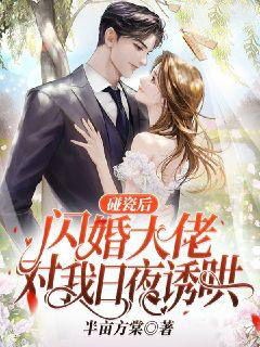 《碰瓷后，闪婚大佬对我日夜诱哄》顾琼傅珩程浩魏淑芳