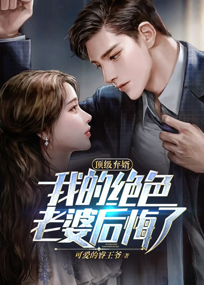 《顾晨赵佳慧秦秘书赵总》小说