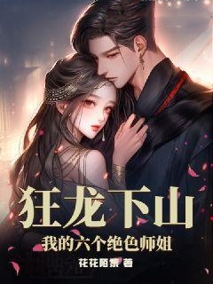 《夜北白灵灵朱雀玄武》小说