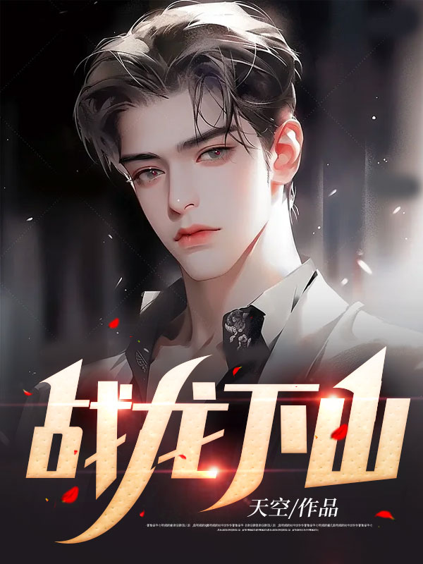 《苏宸乐王武》小说