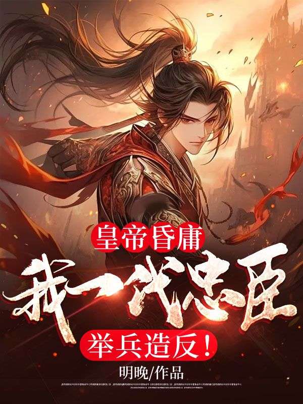 《岳风赵崇秦城》小说