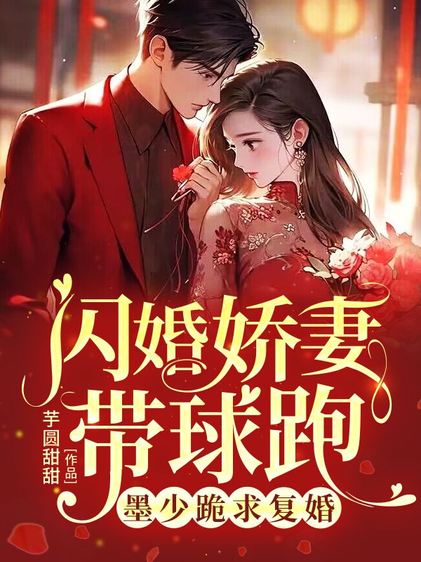 《闪婚娇妻带球跑，墨少跪求复婚白锦洛墨淮琛杨珍白锦恒》白锦洛墨淮琛杨珍白锦恒