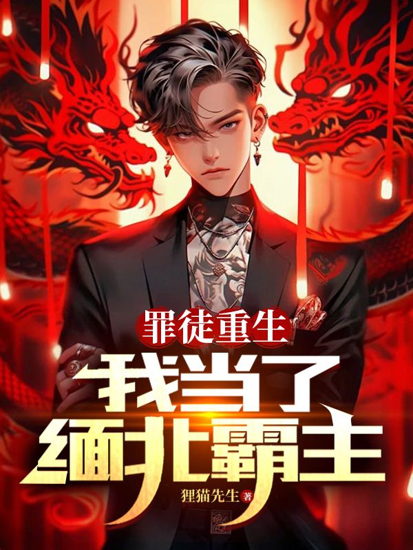 《韩阳骆红宁韩慕婉》小说