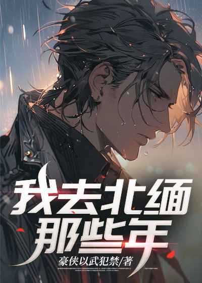 《安宁网友》小说