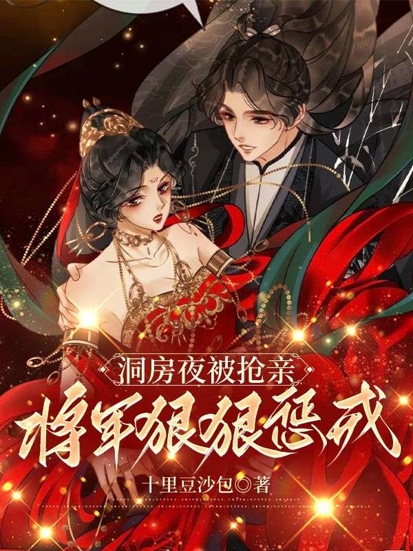 《洞房夜被抢亲，将军狠狠惩戒》锦鸢赵非荀秦嬷嬷沈如绫